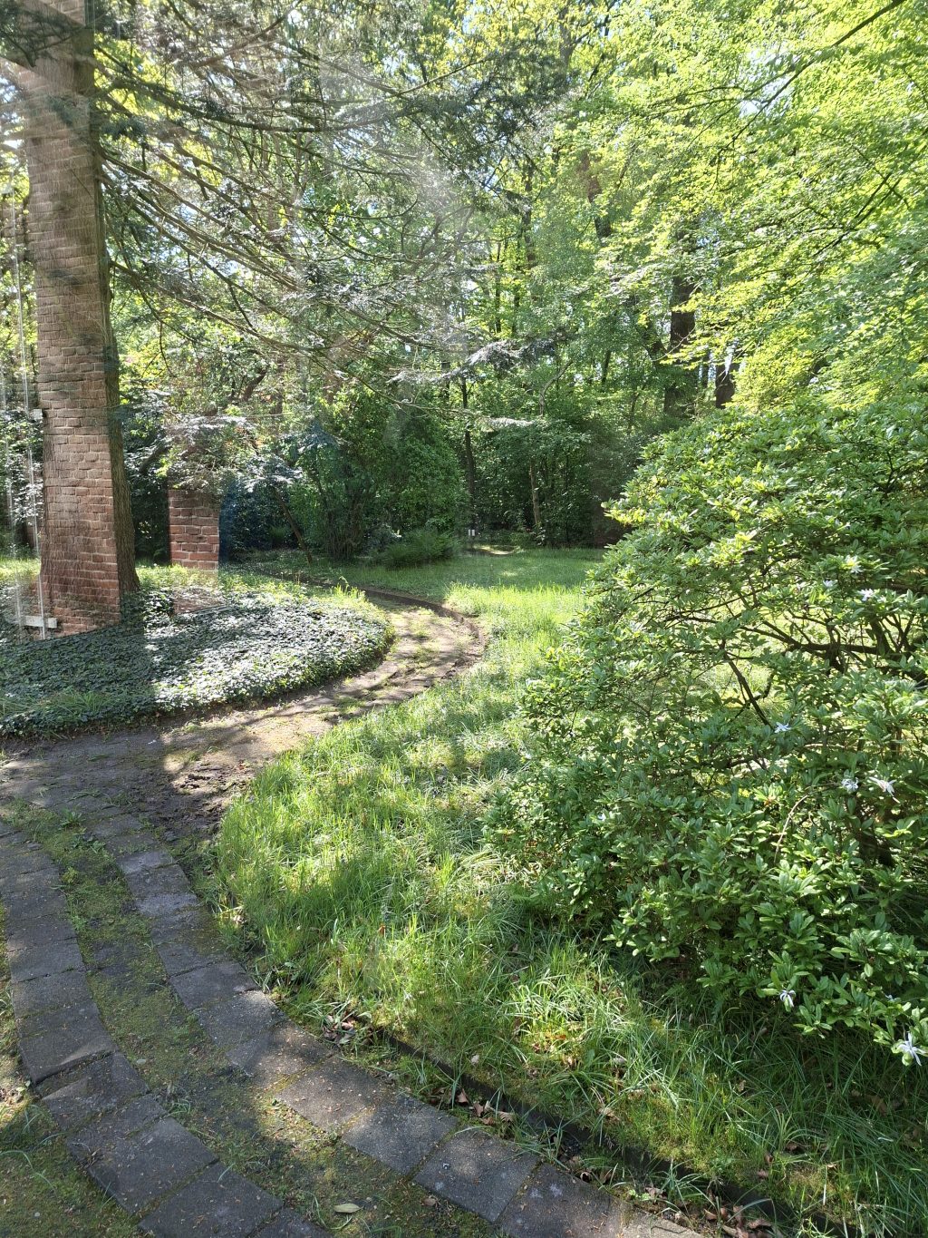 Zicht op tuin Overcingel