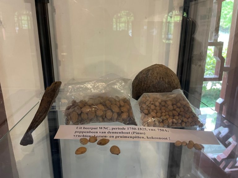 Pitten en zaden van de archelogische opgravingen
